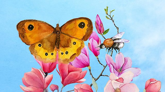 Watch Children of the Sun - Wild Bees & Butterflies Online