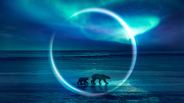Watch Frozen Planet II Online
