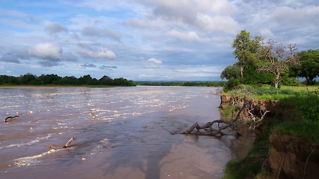 Watch Africa River Wild Online