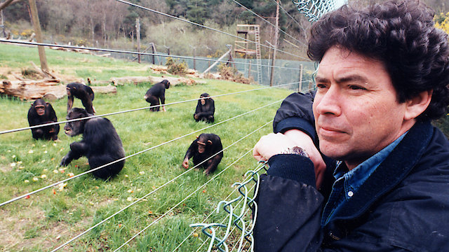 Watch Monkey World: Primate Paradise Online