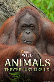 Animals, They're Just Like Us!