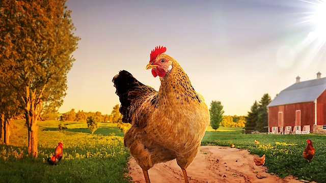 Watch Welcome to My Farm Online