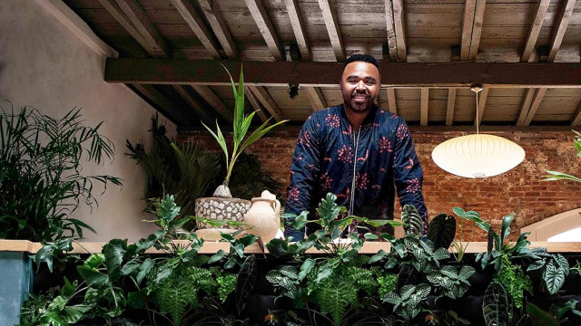 Watch Planterior With Hilton Carter Online