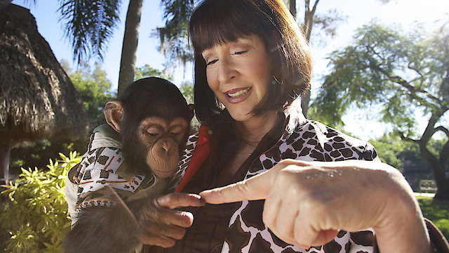 Watch Chimp Mommy Online