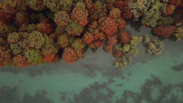 Watch Jewels of the Alps - Italy's Great Lakes Online