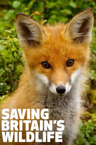 Saving Britain's Wildlife