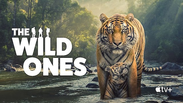 Watch The Wild Ones Online