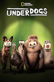 Underdogs