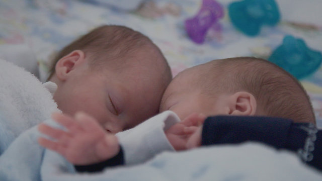 Watch Tiny Lives Online