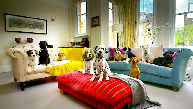 Watch 10 Puppies And Us Online