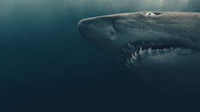 Watch Shark Quest: Hunt for the Apex Predator Online