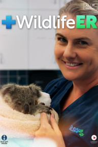 Wildlife ER
