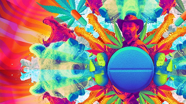 Watch Animals on Drugs Online