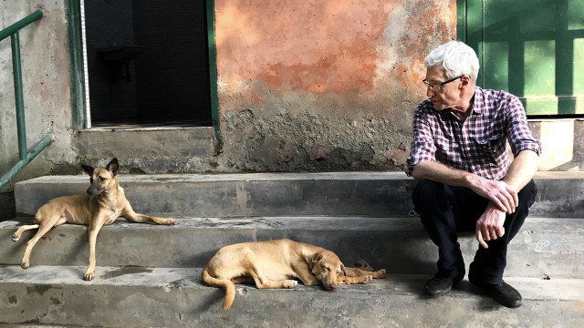 Watch Paul O'Grady: For The Love Of Dogs - India Online