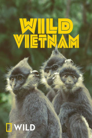 Wild Vietnam poster