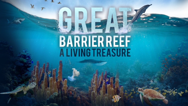Watch Great Barrier Reef - A Living Treasure | Narrated by Russell Crowe Online