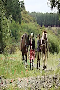 Heavenly Hawkes Bay