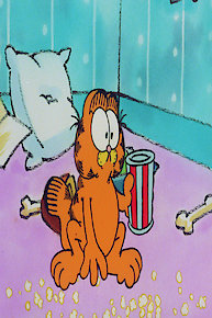 Return of the Buddy Bears; Much Ado Lanolin