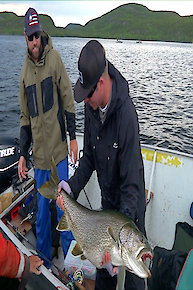 Big Lake Trout from the North