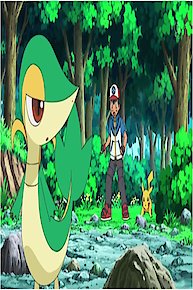 Snivy Plays Hard To Catch!
