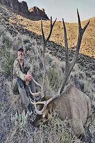 Rut hunt for Bull Elk