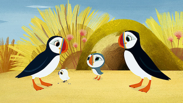Watch Bird Detective Online