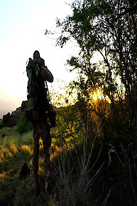 Mouflon Island with Remi Warren