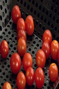 Bobby's New Grilling Classics
