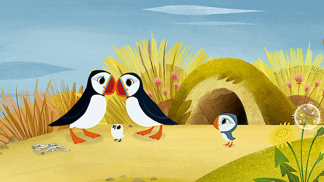 Watch Puffin Practice Online