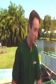 The Alligator Mystery