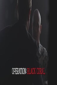 Operation Black Coral: Intercepting Caribbean Coke