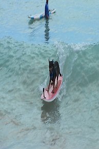 World's Record Holder