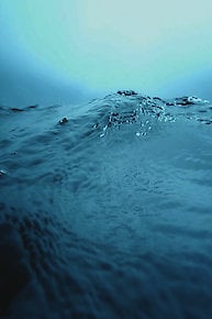 The Global Flood